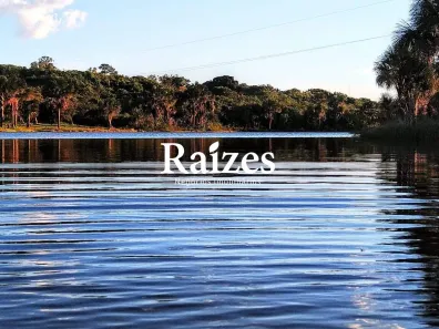 Fazenda/Sítio com 2 Quartos à venda, 750m² no Chácaras Eldorado, Uberlândia