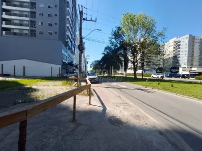 Lote/Terreno para alugar, 704m² no Pedra Branca, Palhoça