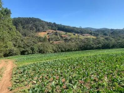 Lote/Terreno à venda, 15900m² no Ibiúna, Ibiúna