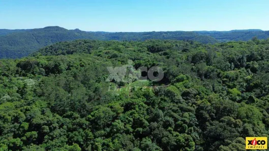 Fazenda/Sítio com 1 Quarto à venda, 5000m² no , Nova Petrópolis