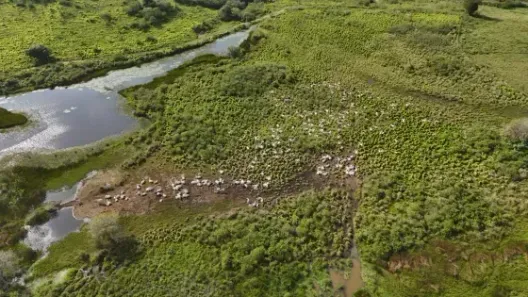 Fazenda/Sítio com 3 Quartos à venda, 3500000m² no , Monte Alegre