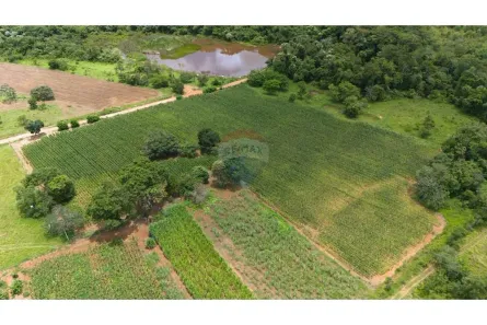Fazenda/Sítio com 5 Quartos à venda, 210000m² no Mansões Suleste, Cidade Ocidental