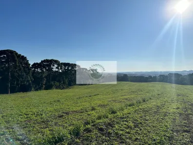 Fazenda/Sítio com 1 Quarto à venda, 450000m² no Centro, Campo Alegre