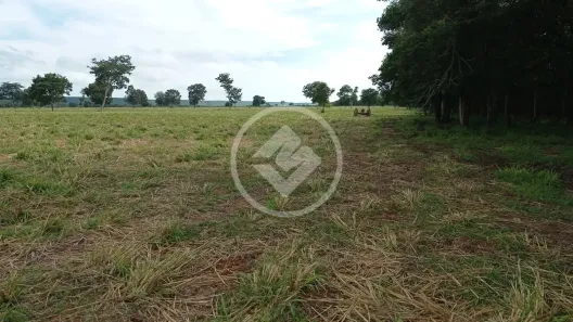 Fazenda/Sítio à venda, 25m² no , Alto Paraguai