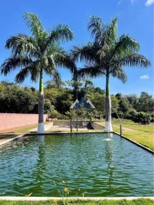 Fazenda/Sítio com 4 Quartos à venda, 105m² no Conjunto Padre Bernardo Merckel, Arapongas