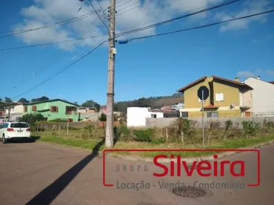 Lote/Terreno para alugar, 806m² no Morro Santana, Porto Alegre