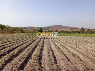 Fazenda/Sítio à venda, 360m² no Área Rural de Itabaiana, Itabaiana