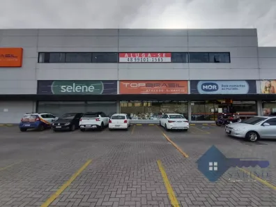 Ponto Comercial para alugar, 1914m² no Jardim Eldorado, Palhoça