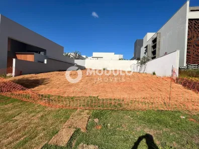 Lote/Terreno à venda, 465m² no Granja Marileusa, Uberlândia
