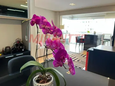 Apartamento com 2 Quartos à venda, 82m² no Santana, São Paulo