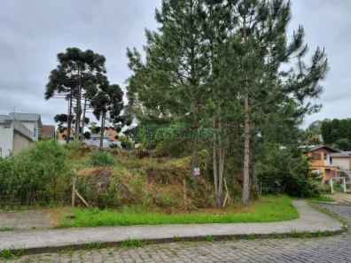 Lote/Terreno à venda, 1787m² no São Virgílio, Caxias do Sul