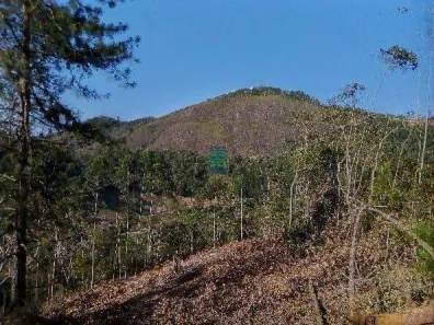 Fazenda/Sítio à venda, 41500m² no , Santa Leopoldina