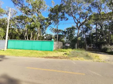 Fazenda/Sítio com 1 Quarto à venda, 1672m² no Roseira, Colombo