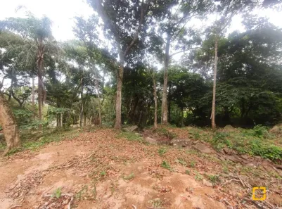 Lote/Terreno à venda, 38760m² no Ratones, Florianópolis