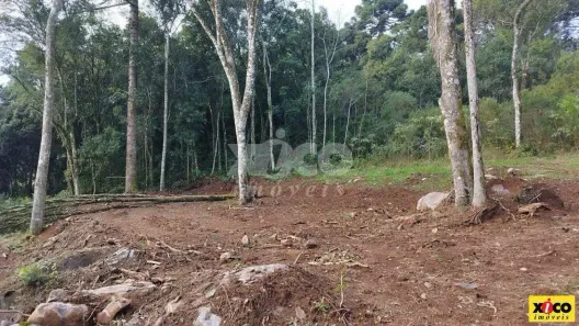 Lote/Terreno à venda, 365m² no Dos Boêmios, Nova Petrópolis