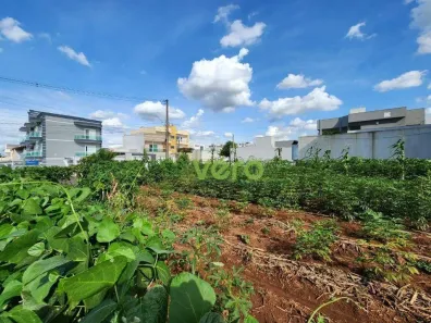Lote/Terreno à venda, 360m² no Jardim Terramérica II, Americana