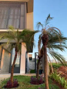 Casa de Condomínio com 4 Quartos à venda, 220m² no Jardins Parma, Senador Canedo