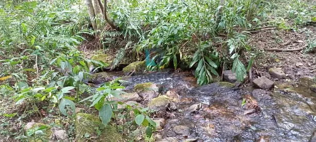 à venda, 1m² no , Marmelópolis