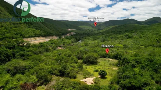 Lote/Terreno à venda, 40000m² no , Palmeiras
