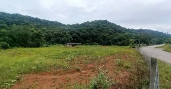 Lote/Terreno à venda, 1m² no , Luiz Alves