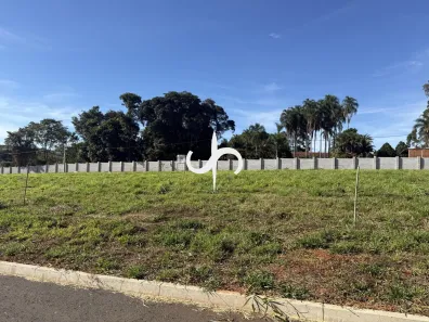 Lote/Terreno à venda, 250m² no Residencial Cerejeiras, Anápolis
