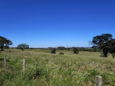 Fazenda/Sítio à venda, 145000m² no , Porangaba