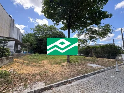 Lote/Terreno à venda, 600m² no São Pedro, Camaragibe