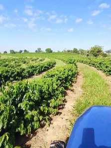 Fazenda/Sítio com 1 Quarto à venda, 133100m² no , Monte Santo de Minas