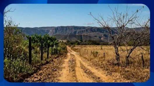Fazenda/Sítio com 1 Quarto à venda, 440000m² no Área Rural de Montes Claros, Montes Claros