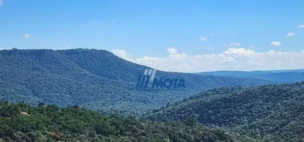 Fazenda/Sítio à venda, 20108m² no Área Rural de Campo Largo, Campo Largo