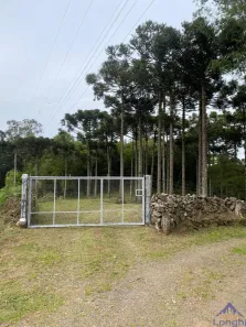 Fazenda/Sítio com 1 Quarto à venda, 78738m² no Parada Cristal, Caxias do Sul
