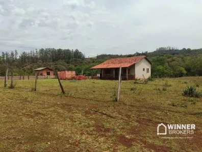 Fazenda/Sítio à venda, 7106m² no Mandaguari, Mandaguari