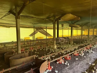 Fazenda/Sítio à venda, 290400m² no , Cesário Lange