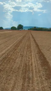 Fazenda/Sítio com 5 Quartos à venda, 1033m² no , Peixe
