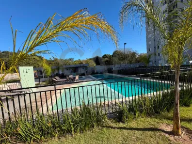 Apartamento com 2 Quartos para alugar, 46m² no Jardim Paraíso, Jaguariúna