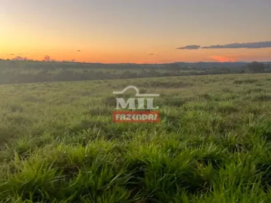 Fazenda/Sítio à venda, 500m² no , Caiapônia