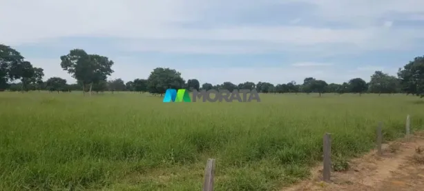 Fazenda/Sítio com 1 Quarto à venda, 1569m² no Brejo do Amparo, Januária