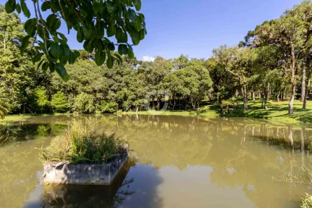 Fazenda/Sítio com 3 Quartos à venda, 242000m² no , Campina Grande do Sul