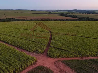 Fazenda/Sítio à venda, 1m² no Área Rural de São Manuel, São Manuel