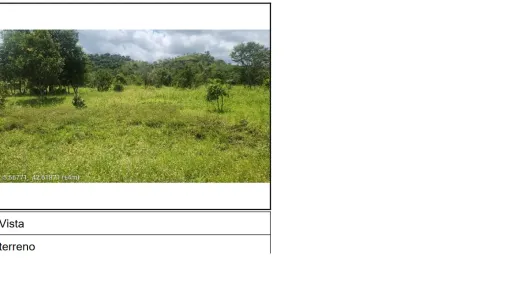 Lote/Terreno à venda, 1500m² no Centro, Monsenhor Gil