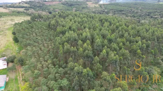 Fazenda/Sítio à venda, 48000m² no , Triunfo