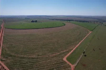 Fazenda/Sítio com 5 Quartos à venda, 2900m² no Área Rural de Dourados, Dourados