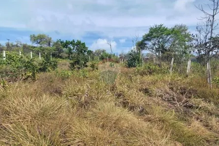 Lote/Terreno à venda, 450m² no , Conde