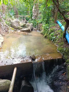 Fazenda/Sítio à venda, 48400m² no , Anchieta