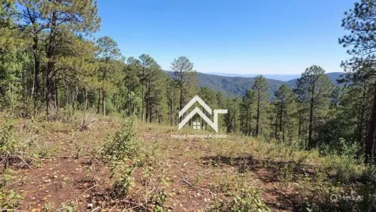 Lote/Terreno à venda, 3600m² no Guaxinduva, Atibaia