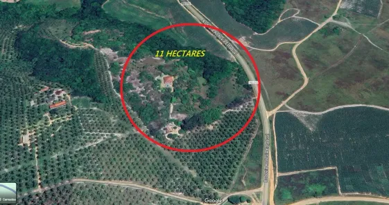Fazenda/Sítio à venda, 11000m² no Conde, Conde