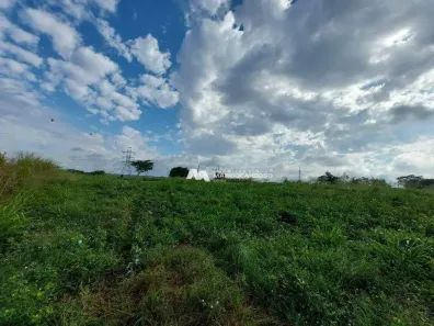 Fazenda/Sítio com 1 Quarto à venda, 81300m² no Área Rural de Olímpia, Olímpia