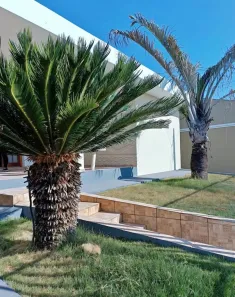 Casa com 3 Quartos para alugar, 100m² no Vila Cardia, Bauru