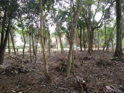 Lote/Terreno à venda, 1187m² no Água Espraiada (Caucaia do Alto), Cotia