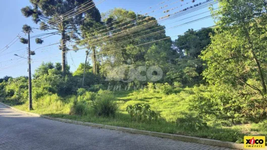 Lote/Terreno à venda, 550m² no Nova Petrópolis, Nova Petrópolis